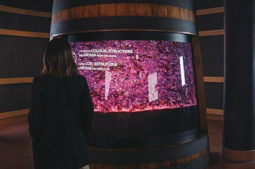 Porto: Port & Wine Experience Museum with 3 Wine Tastings 5