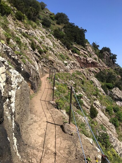 Madeira: Machico to Porto da Cruz Guided Levada Walk 5