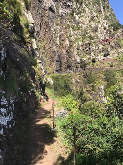 Madeira: Machico to Porto da Cruz Guided Levada Walk 3