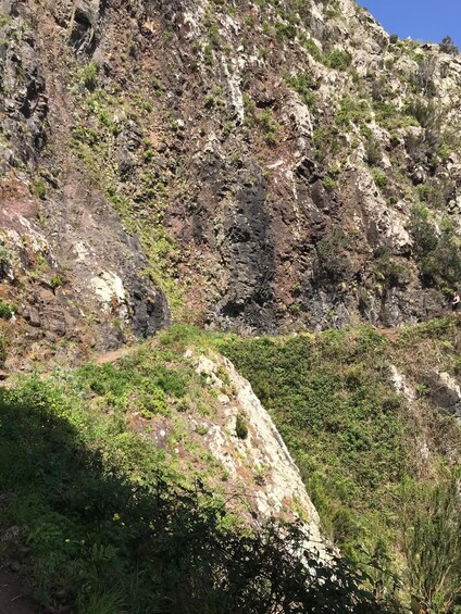 Madeira: Machico to Porto da Cruz Guided Levada Walk 4