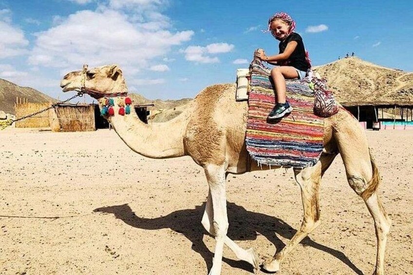 Safari Hurghada Tour 4
