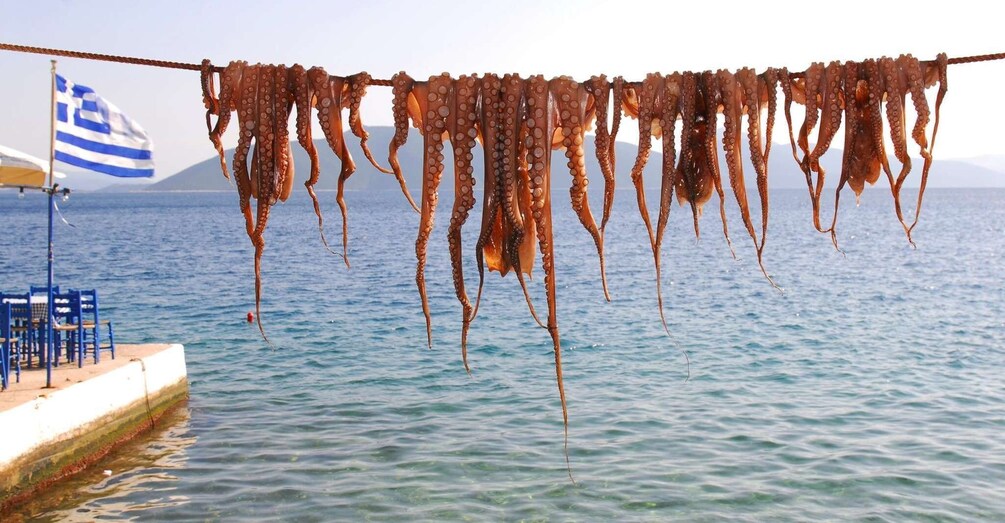 Dried octopus hanging over water with a flag in the background. 3