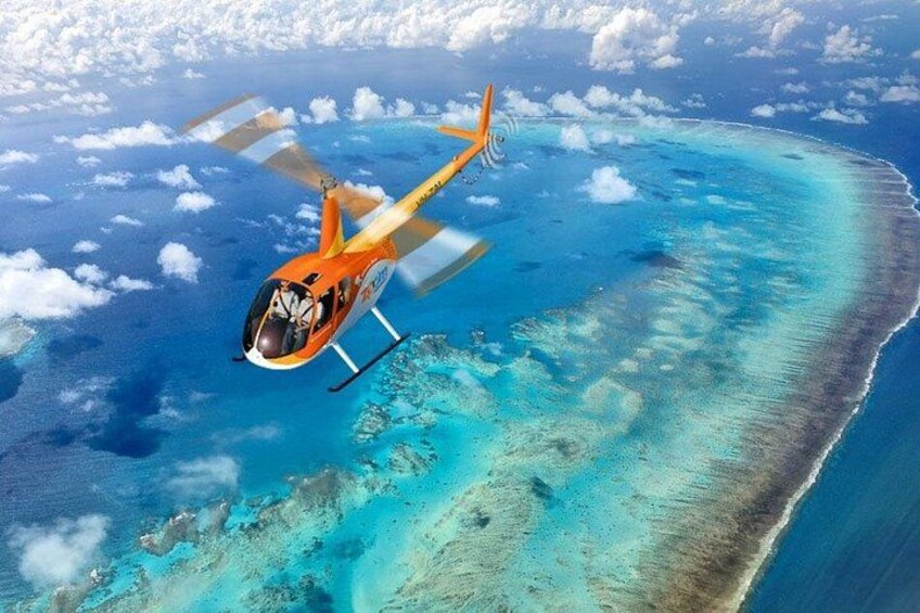 40 minute Reef Scenic Flight 1