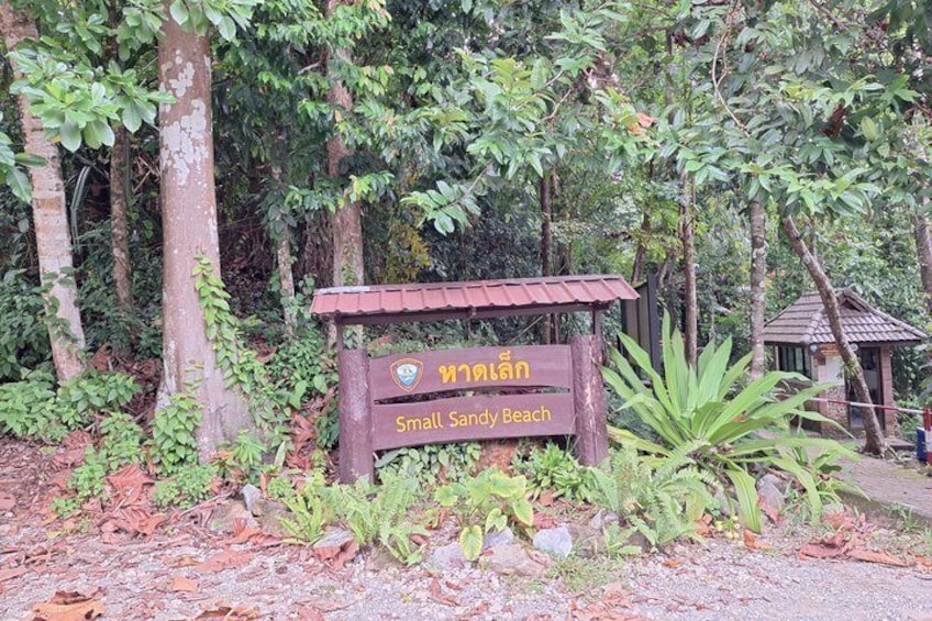 Khao Lak Bamboo Rafting Turtle Conservation and Small Sandy Beach 3