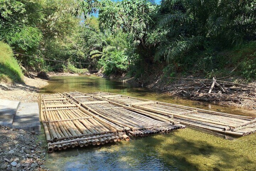 A bamboo raft on a river surrounded by dense greenery. 3
