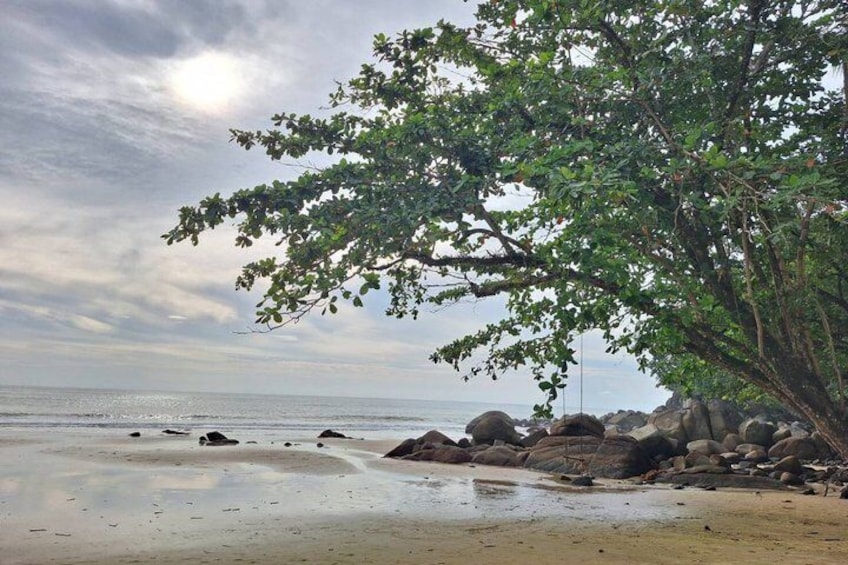 Khao Lak Bamboo Rafting Turtle Conservation and Small Sandy Beach 5