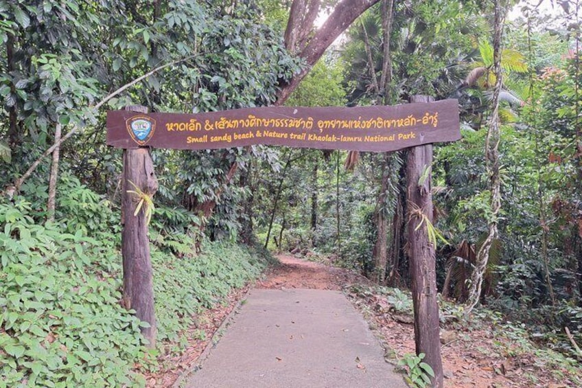 Khao Lak Bamboo Rafting Turtle Conservation and Small Sandy Beach 2