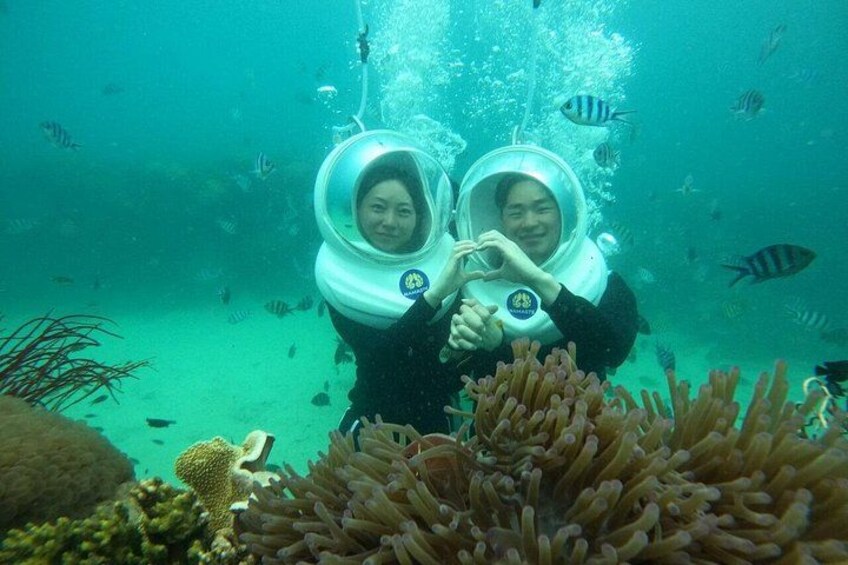 Two people in scuba diving gear underwater with coral and fish in the background. 5