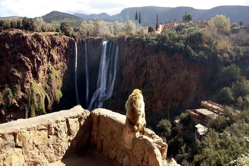 Full Day Trip To Ouzoud Waterfalls 5