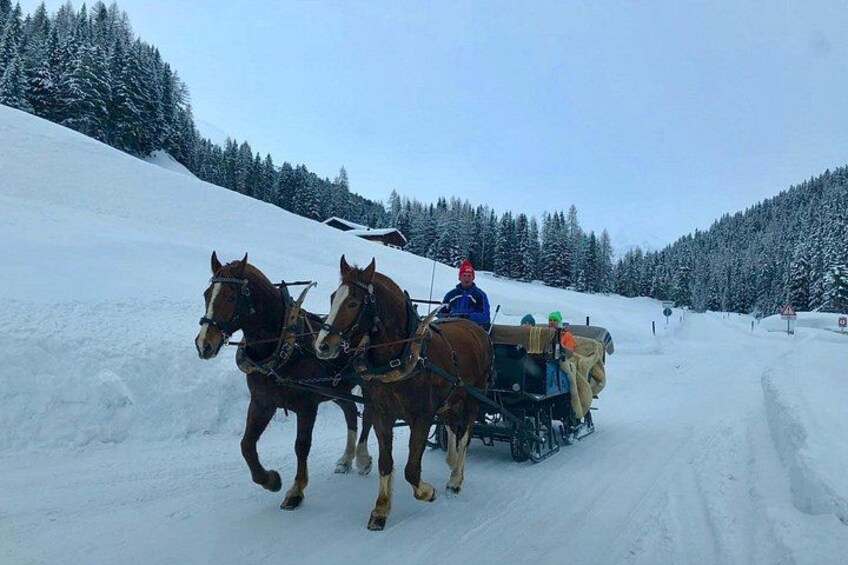 From Zurich: Swiss Winter Horse Carriage & Fondue Private Tour 1