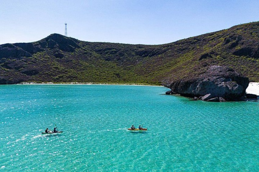 Balandra Boat Adventure: Sea Lions, Kayak, and Hike in Paradise 4