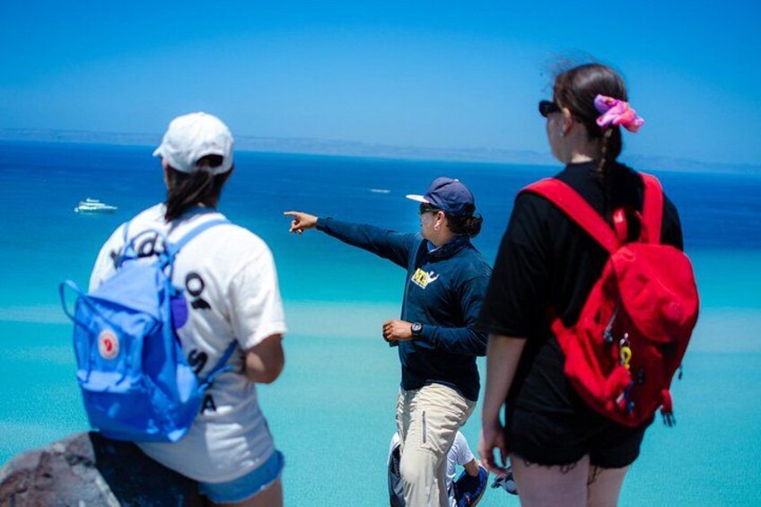 Balandra Boat Adventure: Sea Lions, Kayak, and Hike in paradise 5