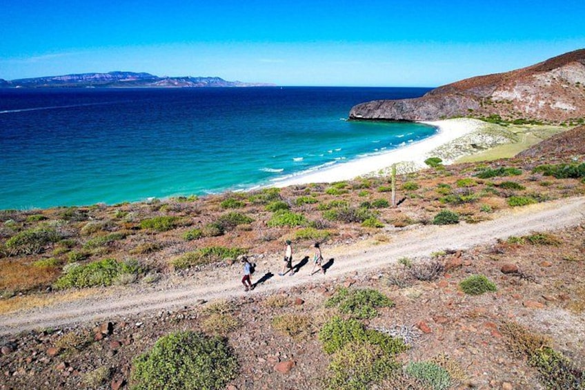 Balandra Boat Adventure: Sea Lions, Kayak, and Hike in paradise 3