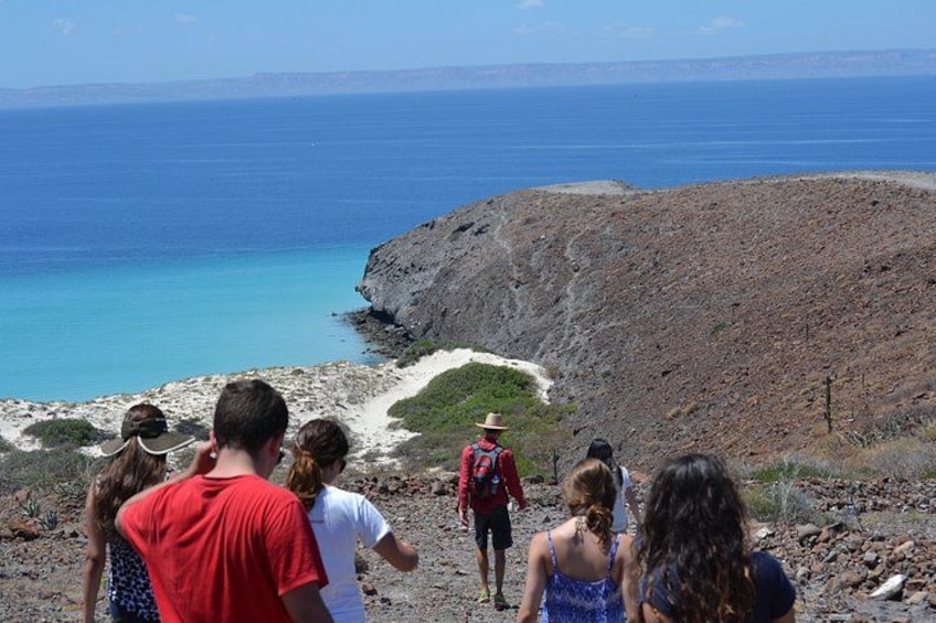 Balandra Boat Adventure: Sea Lions, Kayak, and Hike in paradise 3