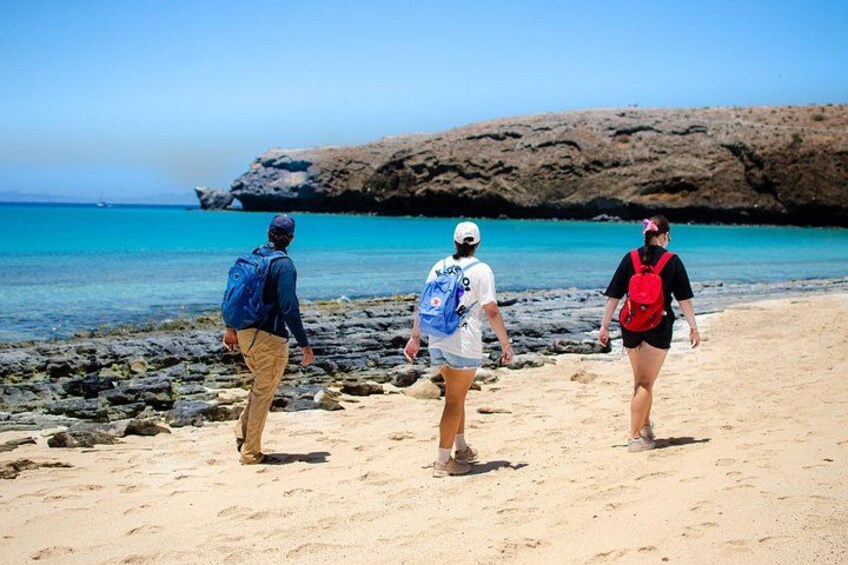 Balandra Boat Adventure: Sea Lions, Kayak, and Hike in paradise 2