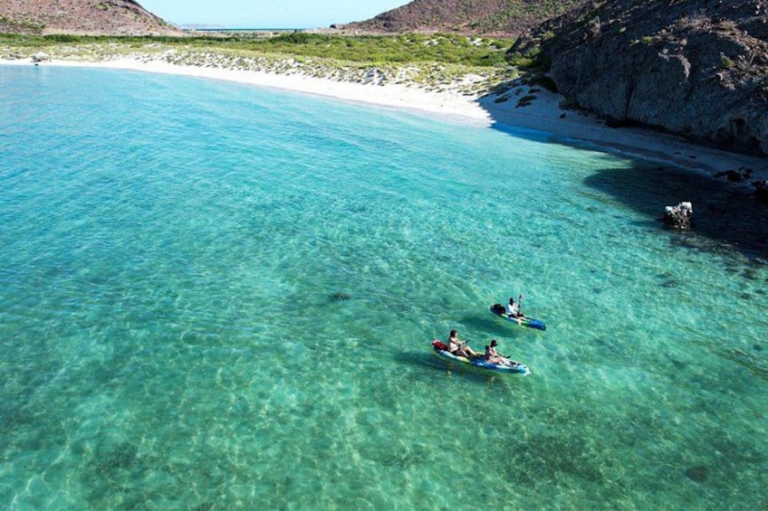Balandra Boat Adventure: Sea Lions, Kayak, and Hike in paradise 1