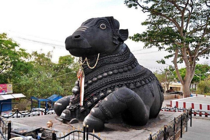 Una gran estatua negra de toro con joyería intrincada y una cuerda al cuello, ubicada en una plaza pública con árboles y una valla al fondo. 3