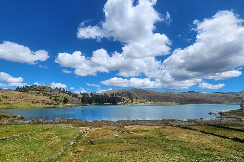 Qeswachaka Bridge and Four Lagoons Full Day Adventure 3