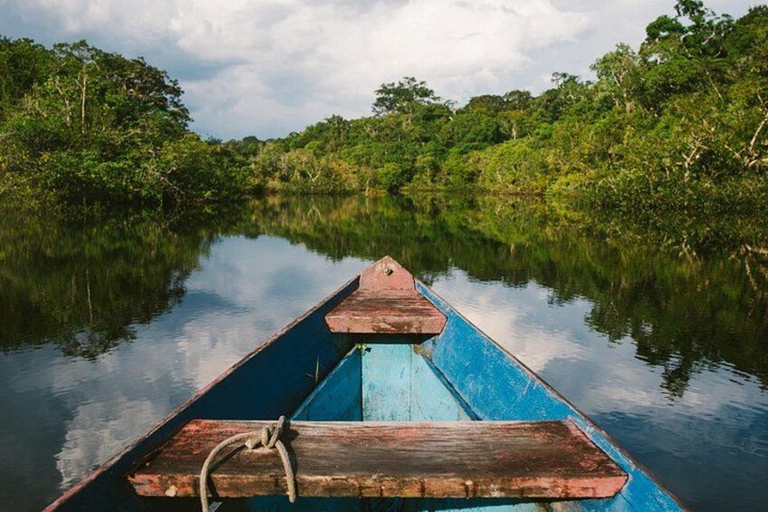 A blue boat with a wooden bow on a calm river surrounded by dense green foliage. 1