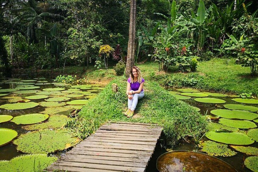 A woman sitting on a wooden platform surrounded by a pond with lily pads. 4