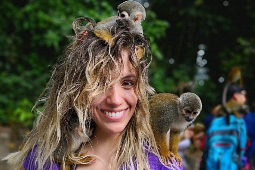 A person with long hair and a purple top, carrying two small monkeys on their shoulders. 1