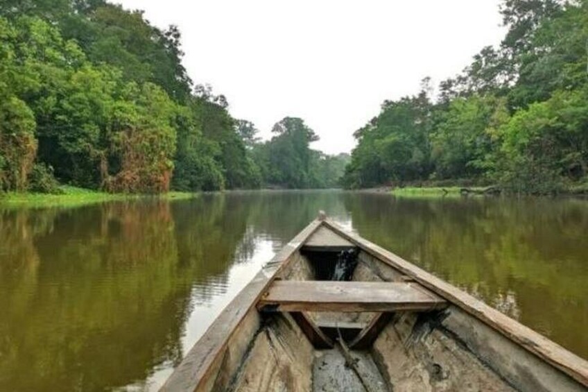 Wild Amazonas Adventure 4-Day Tour 2