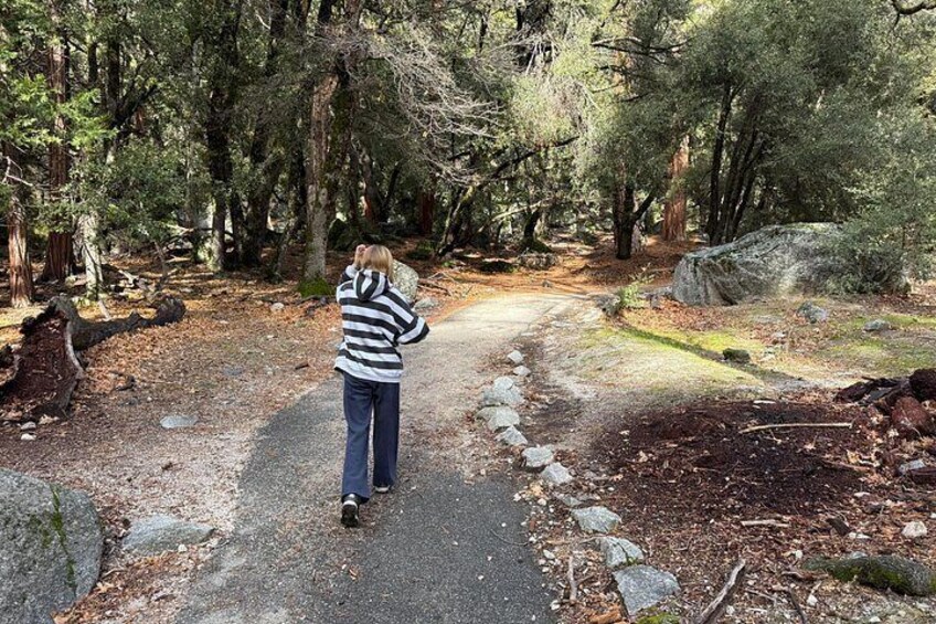 A person standing on a forest path. 3