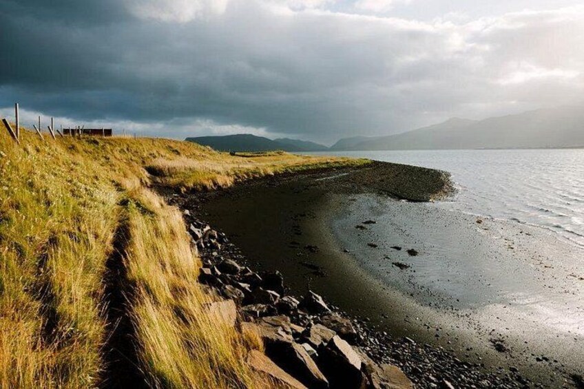 A coastal landscape with a grassy path, rocky shoreline, and a body of water under a cloudy sky. 2