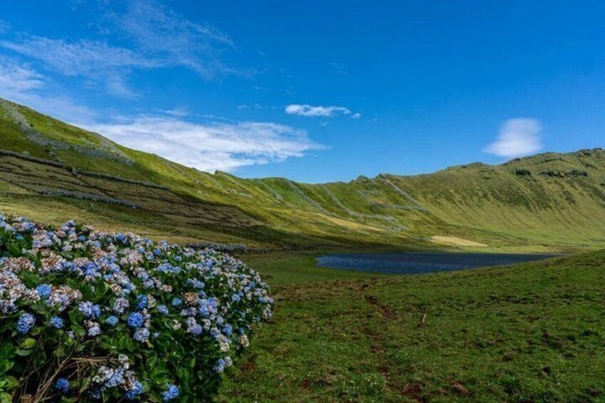 A lake surrounded by green hills and a cluster of blue flowers in the foreground. 5