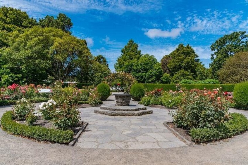 Christchurch City Self Guided Walking Tour with an APP 2