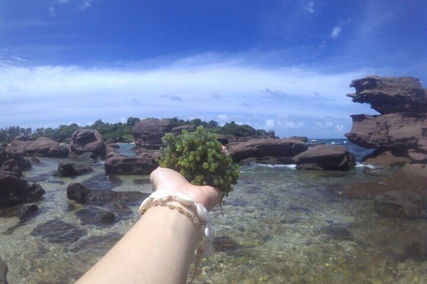 Private An Thoi Islands Speedboat Snorkeling Tour 4
