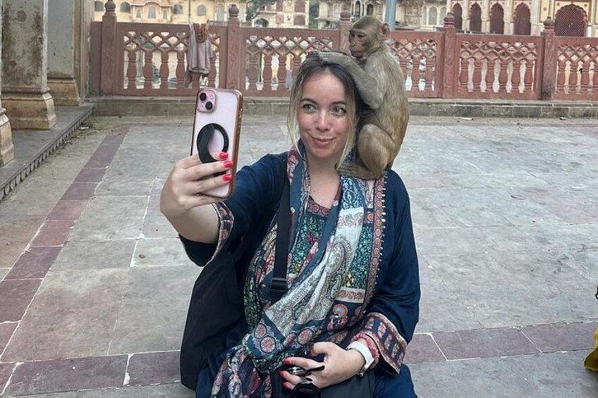 Jaipur Leopard Safari with Monkey Temple with Pick up and Drop 4