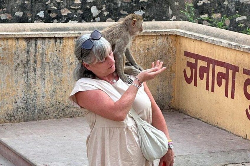 Jaipur Leopard Safari with Monkey Temple with Pick up and Drop 3