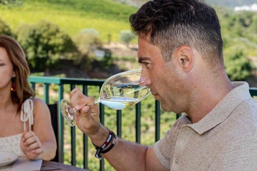 Wine Tasting at Quinta dos Novais in Douro Valley 1