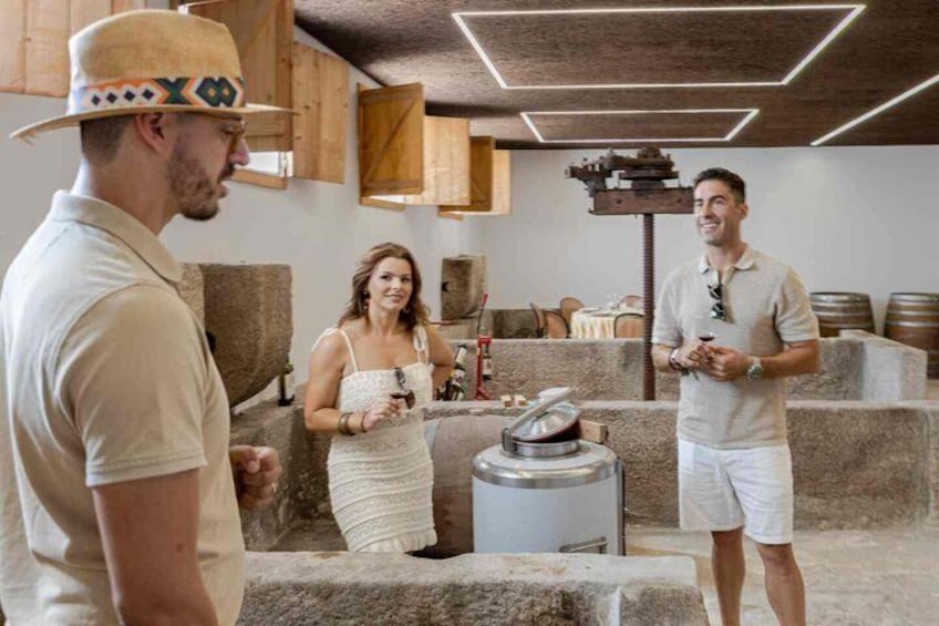Wine Tasting at Quinta dos Novais in Douro Valley 4