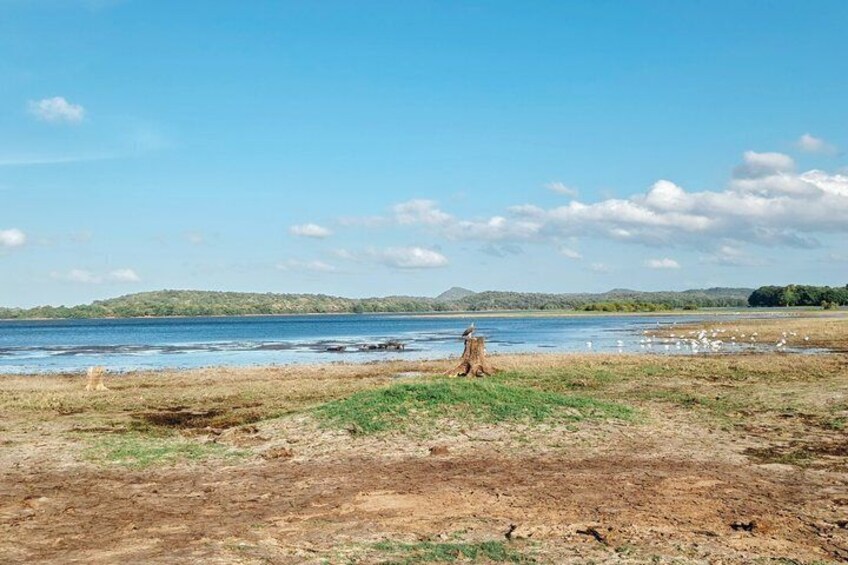 A beach with a person standing in the distance, a body of water, and a grassy area with trees in the background. 4