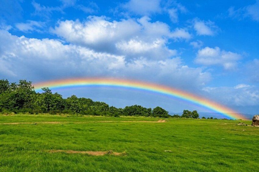 Ein Regenbogen über einem grünen Feld mit Bäumen im Hintergrund. 2
