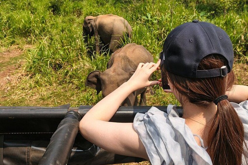 Minneriya National Park Private Elephant Wildlife Safari 1