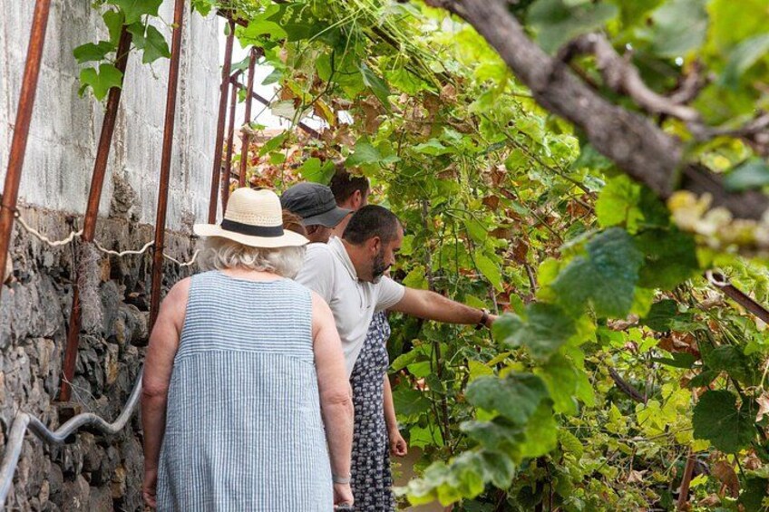"Re-Canto" Farm-to-Table with Stunning Views at Madeira 3