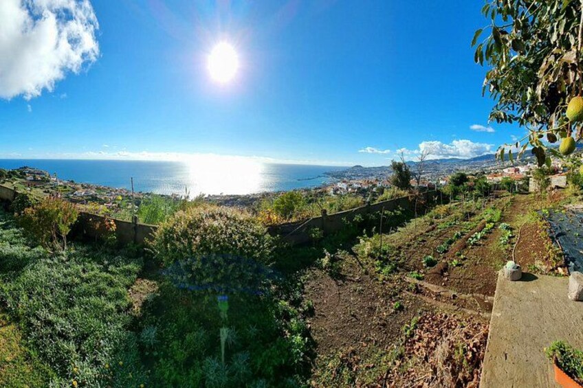 "Re-Canto" Farm-to-Table with Stunning Views at Madeira 2