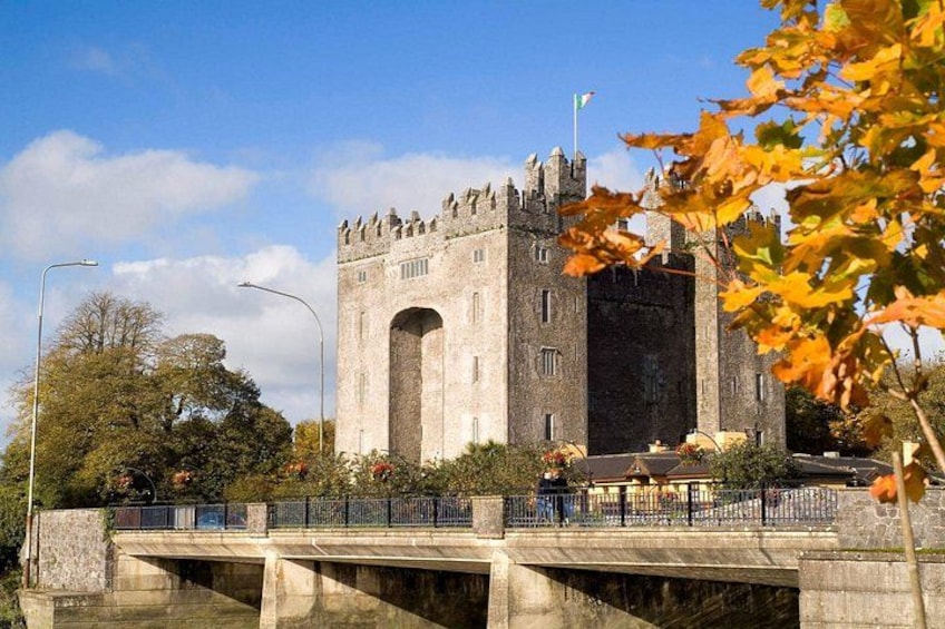 Bunratty Caslte 2