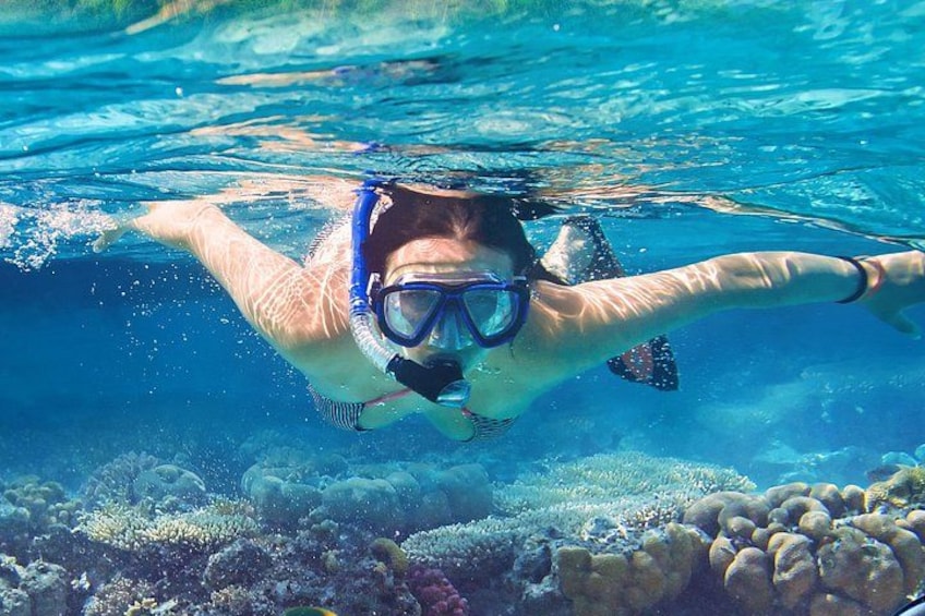 A person snorkeling underwater with coral formations. 2