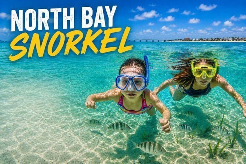 North Bay Snorkel Small Group 1