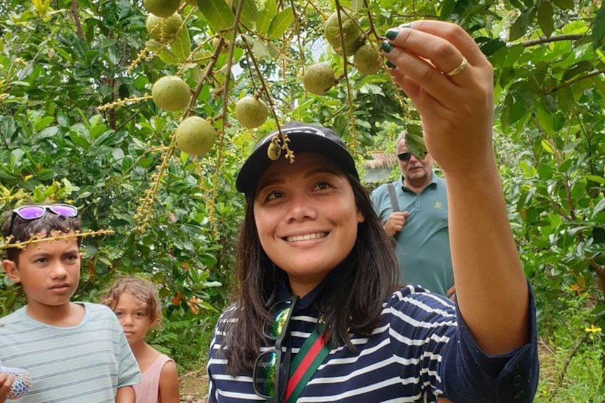 A person holding a fruit from a tree, surrounded by greenery. 5