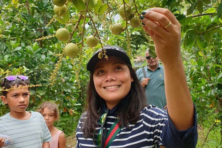 Cu Chi Tunnels and Mekong Delta Tour Ho Chi Minh 2