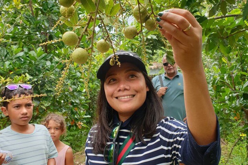Cu Chi Tunnels and Mekong Delta Tour Ho Chi Minh 2