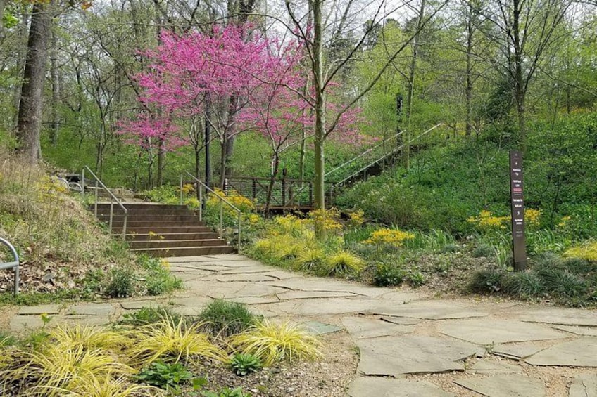 Crystal Bridges trail in spring 4