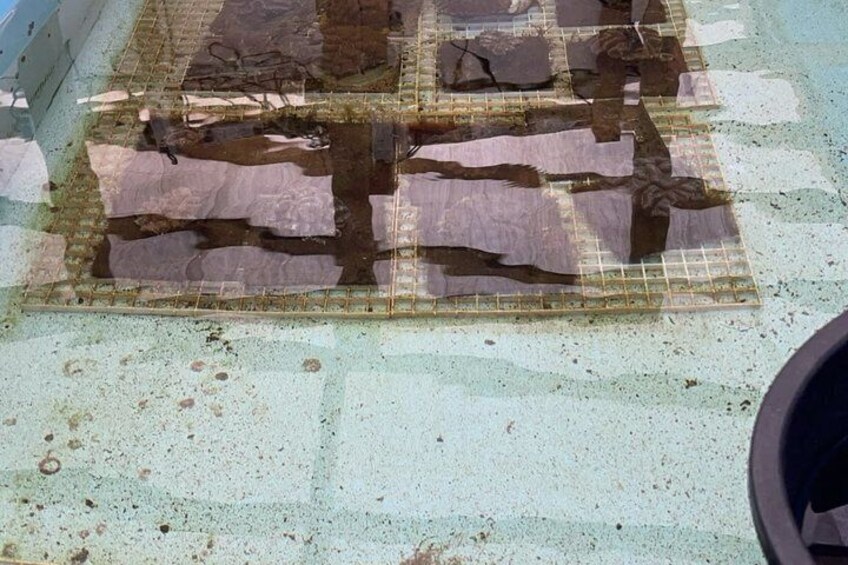 A wet surface with large, irregularly shaped objects on a grid. 3