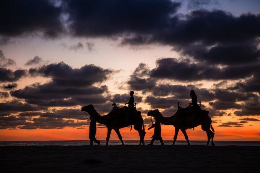 Des silhouettes de chameaux et de cavaliers se détachent sur le ciel au coucher du soleil. 2