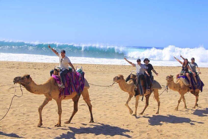 Des personnes montent à dos de chameau sur une plage, avec des vagues en arrière-plan. 1